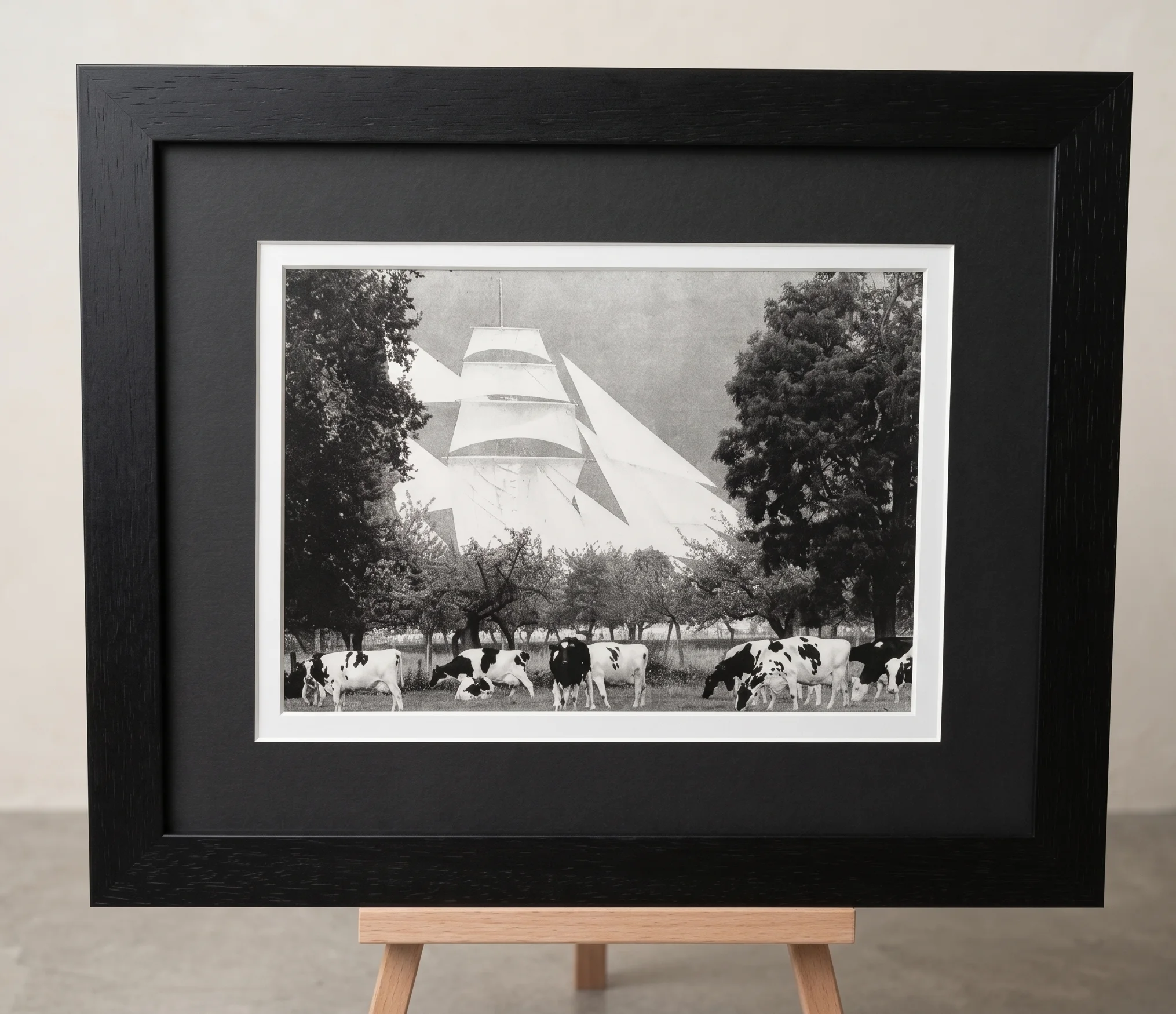 Photographie en noir et blanc d'un voilier au-dessus d'un champ avec des vaches au premier plan, dans un cadre noir avec passe-partout sombre